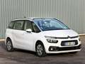 Citroen Grand C4 Picasso Grand C4 Picasso PureTech 130 S&S LIVE - thumbnail 1