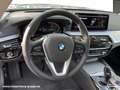 BMW 530 d Limousine Head-Up HiFi DAB WLAN GSD AHK Grijs - thumbnail 12