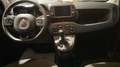 Fiat Panda 1.0 FireFly S&S Hybrid Vert - thumbnail 17