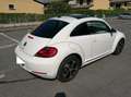 Volkswagen Maggiolino 1.6 Tdi Design Wit - thumbnail 2