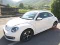 Volkswagen Maggiolino 1.6 Tdi Design Wit - thumbnail 3
