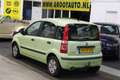 Fiat Panda 1.2 Dynamic NAP, Stuurbekrachtiging Groen - thumbnail 3