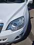 Opel Antara Antara 2,2 CDTI 4×4, Cosmo DPF Aut. Cosmo Weiß - thumbnail 24