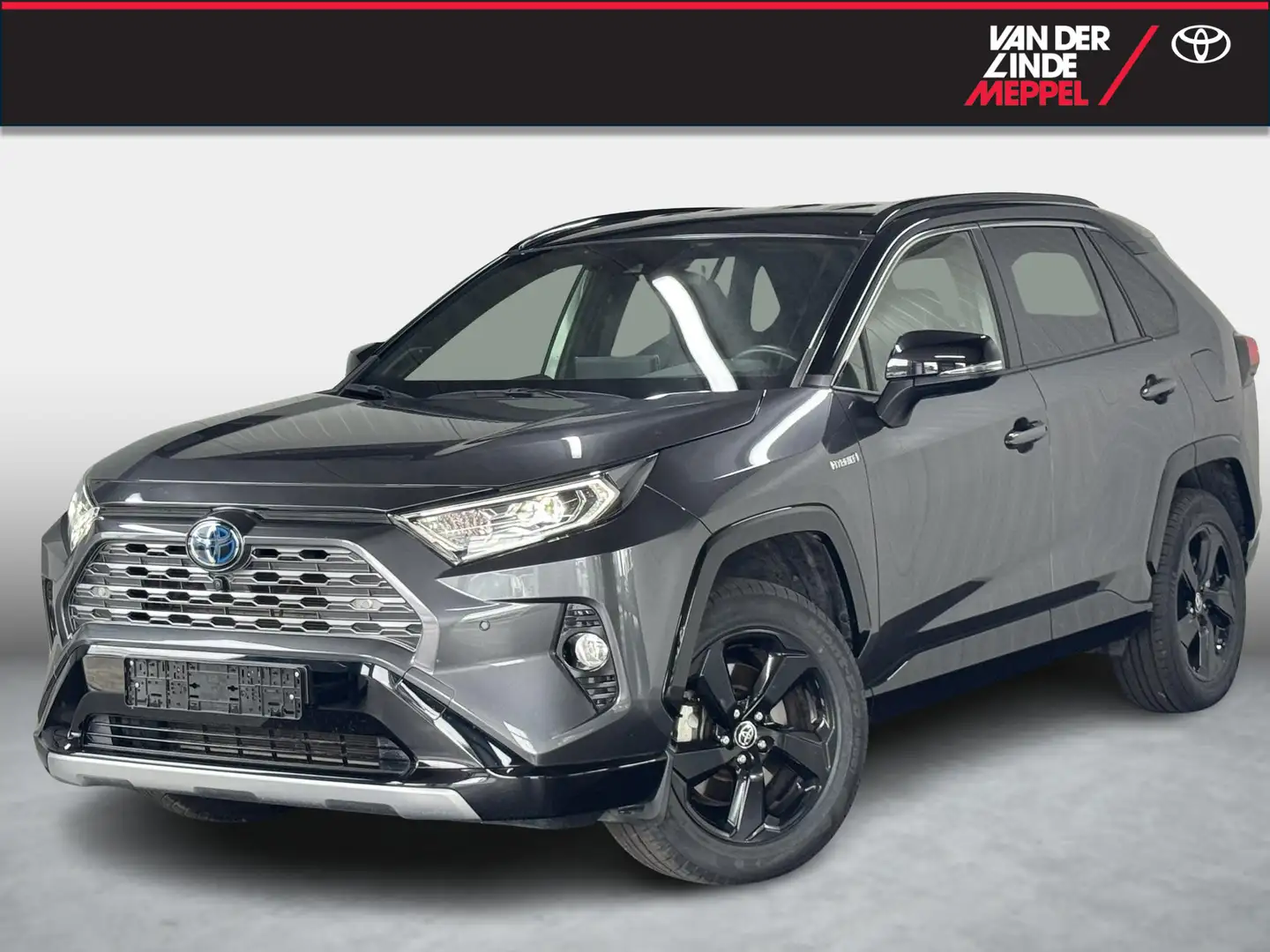 Toyota RAV 4 2.5 Hybrid AWD Bi-Tone Clima Cruise PDC - 1