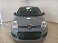 Fiat Panda 3ª serie 1.0 FireFly S&S Hybrid Grigio - thumbnail 2