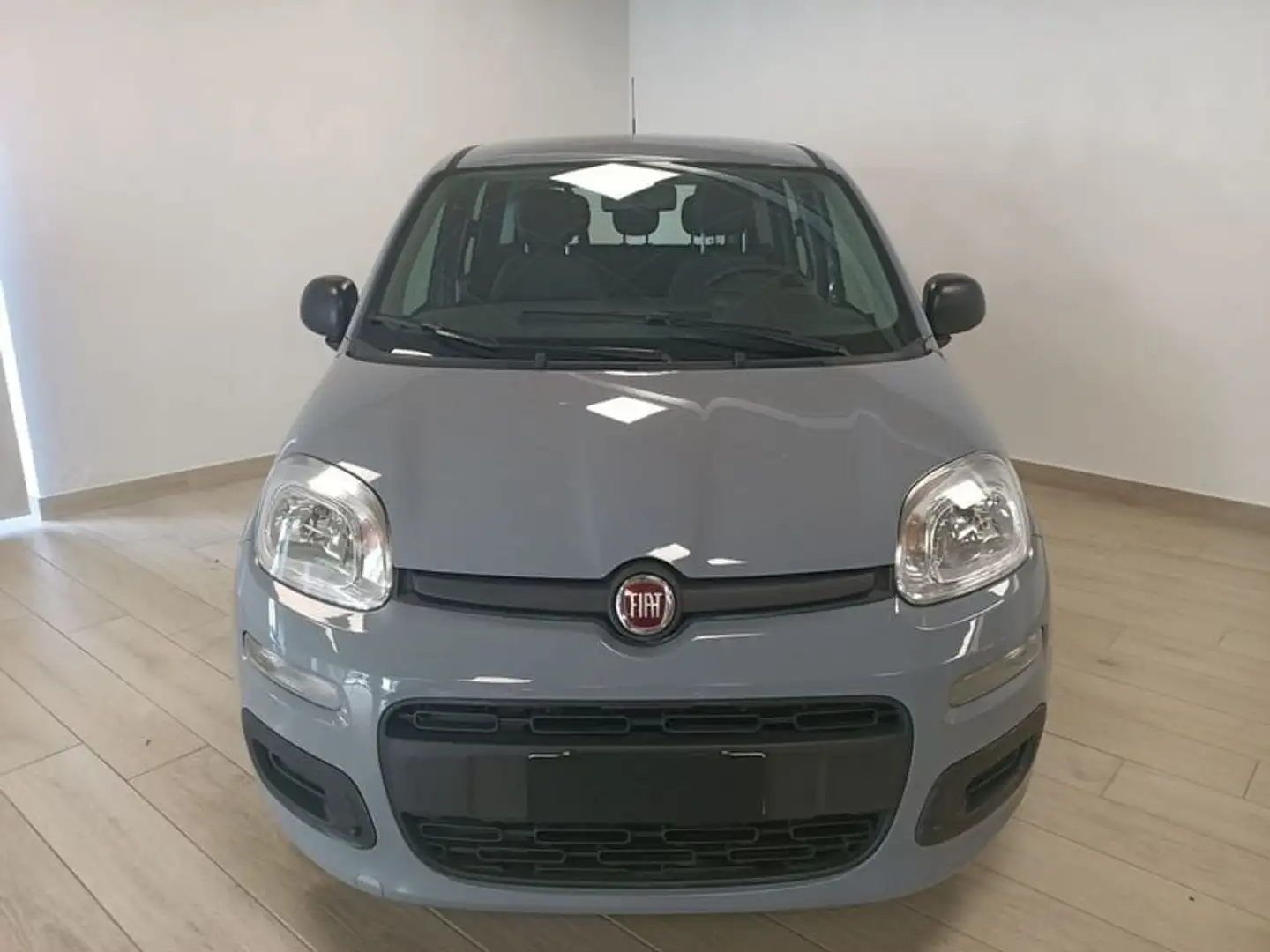 Fiat Panda 3ª serie 1.0 FireFly S&S Hybrid Grigio - 2