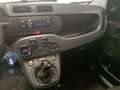 Fiat Panda 3ª serie 1.0 FireFly S&S Hybrid Grigio - thumbnail 11