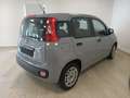 Fiat Panda 3ª serie 1.0 FireFly S&S Hybrid Grigio - thumbnail 4
