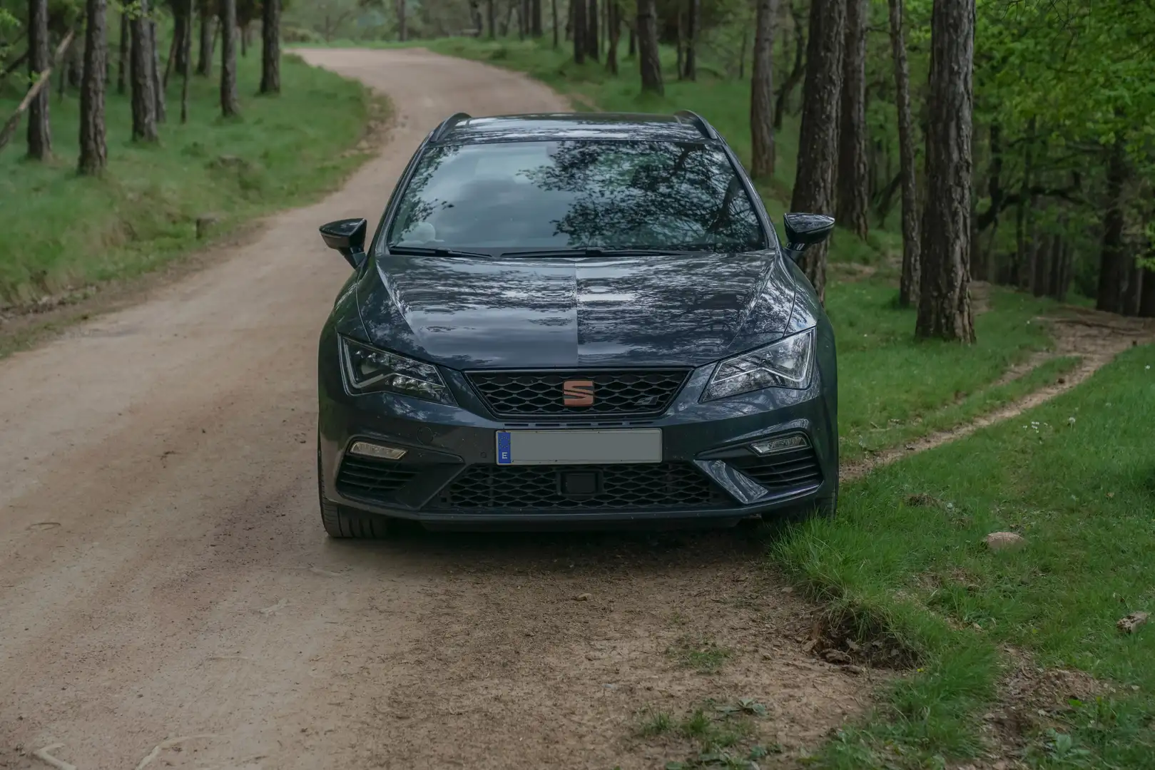 SEAT Leon León ST 2.0 TSI S Gris - 1