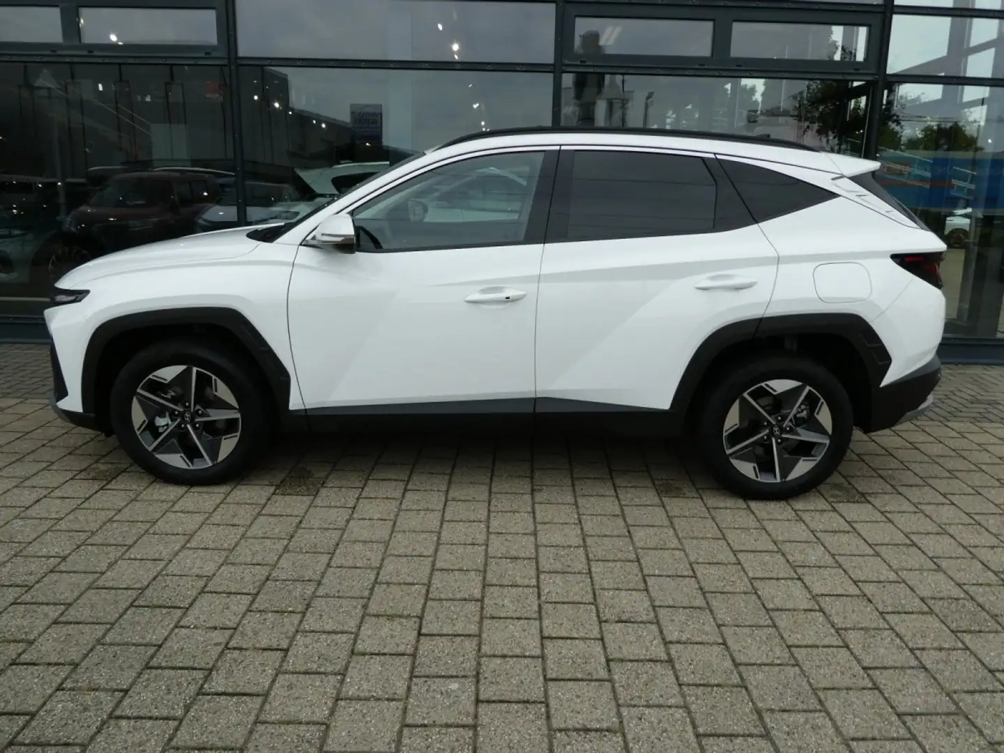 Hyundai TUCSON 1.6 Ltr. 2WD Hybrid*Style*SHZ*Privacy* Weiß - 2