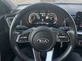 Kia XCeed 1.0 t-gdi Style 120cv - thumbnail 13