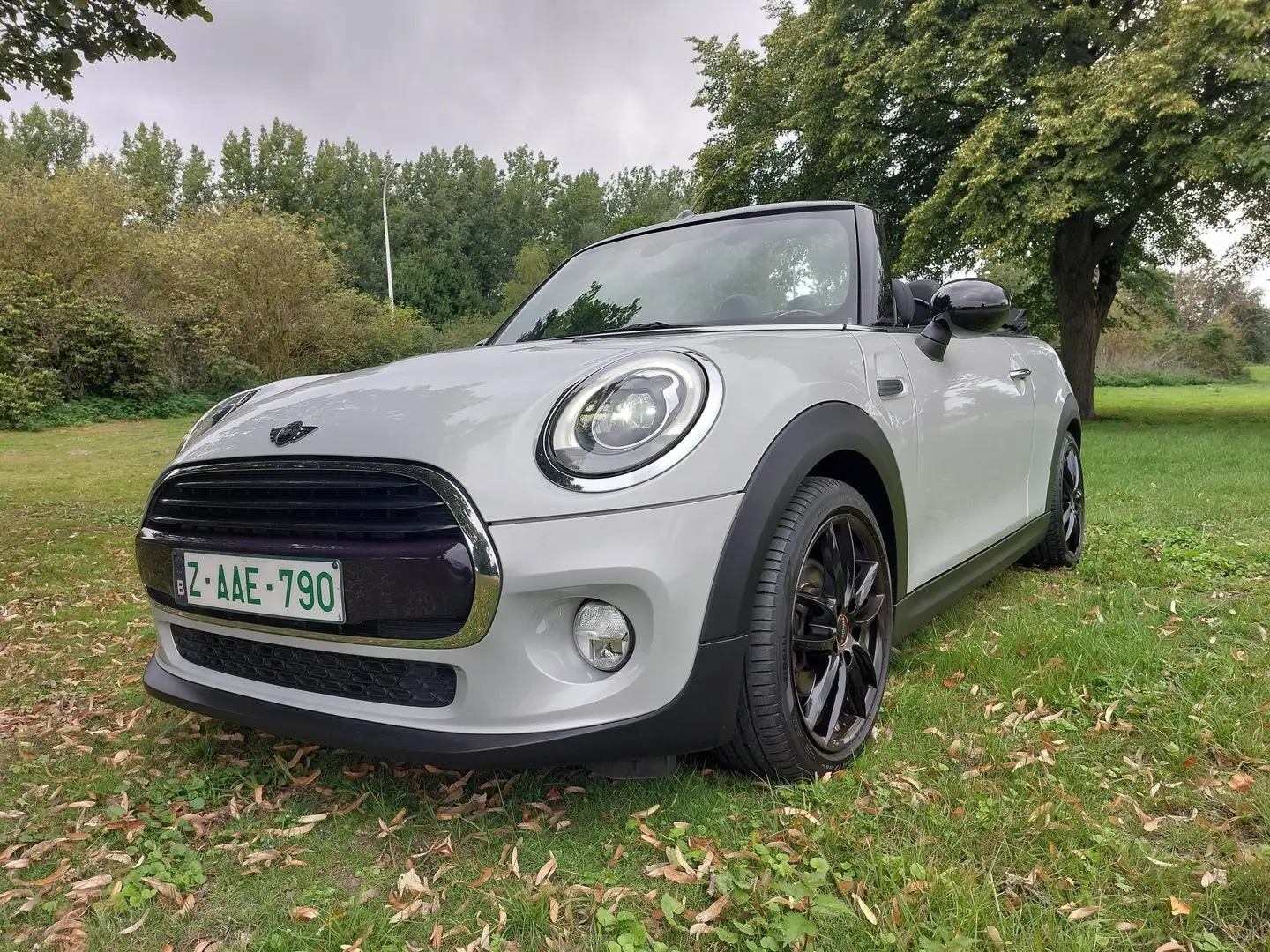 MINI Cooper Cabrio Mini Cooper Cabrio BENZINE Сірий - 1