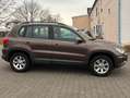 Volkswagen Tiguan Track&Field 4MOTION*XENON*KAMERA*AHK*AMBIENTELICHT Braun - thumbnail 5