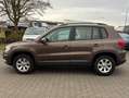 Volkswagen Tiguan Track&Field 4MOTION*XENON*KAMERA*AHK*AMBIENTELICHT Braun - thumbnail 8