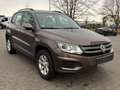 Volkswagen Tiguan Track&Field 4MOTION*XENON*KAMERA*AHK*AMBIENTELICHT Braun - thumbnail 3