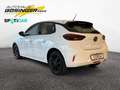 Opel Corsa F Basis SHZ/LHZ / Tech-Paket / ALU Blanc - thumbnail 5