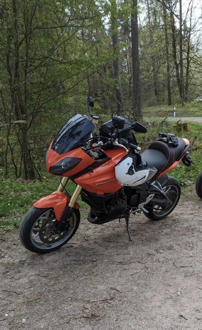 Triumph Tiger 1050 Lenkererhöhung, Sportauspuff Orange - 2