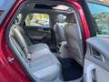 Audi A6 Avant 3.0 TDI/1.HAND/42TKM/PANORAMADACH/NEUWA Rot - thumbnail 18