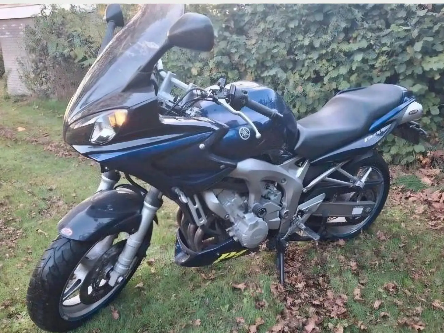 Yamaha FZ 6 Fazer Blauw - 2