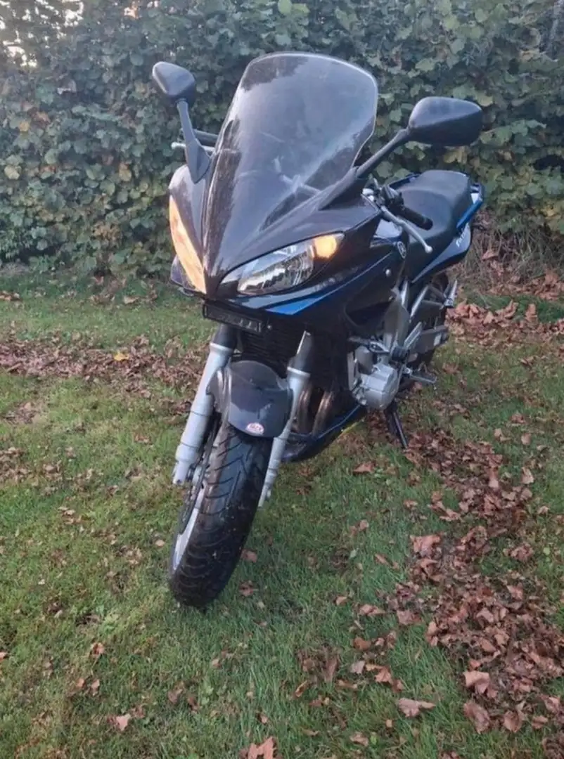 Yamaha FZ 6 Fazer Blauw - 1