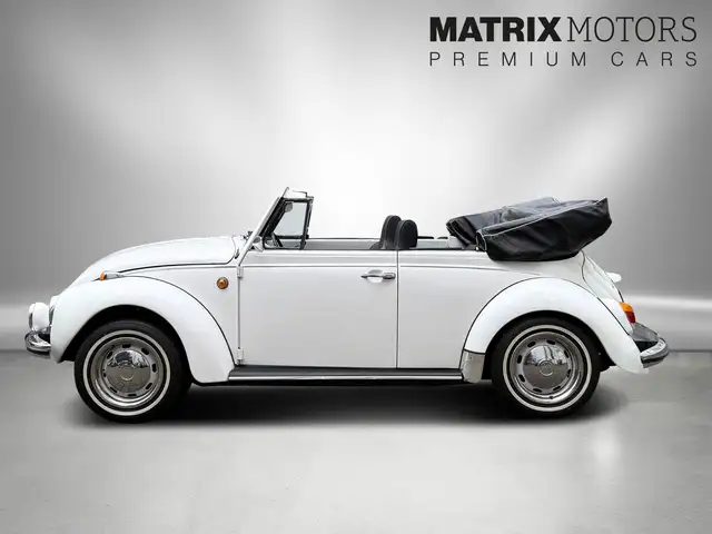 Volkswagen Beetle view 10