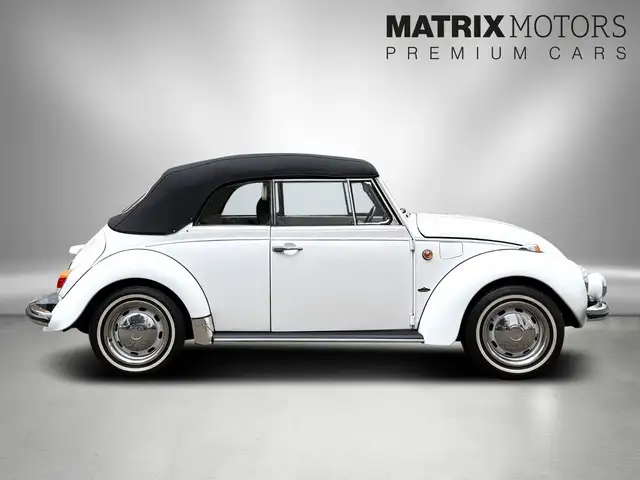Volkswagen Beetle view 9