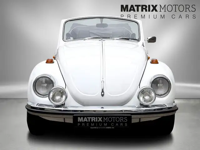 Volkswagen Beetle view 13
