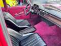 Mercedes-Benz 280 200-280 (W115) Red Pig Weiß - thumbnail 24