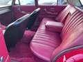 Mercedes-Benz 280 200-280 (W115) Red Pig Weiß - thumbnail 19