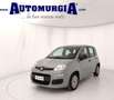 Fiat Panda 1.0 FireFly S&S Hybrid Grau - thumbnail 2