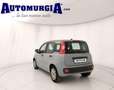 Fiat Panda 1.0 FireFly S&S Hybrid Grau - thumbnail 3