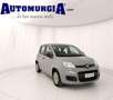 Fiat Panda 1.0 FireFly S&S Hybrid Grau - thumbnail 1
