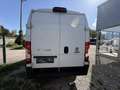 Fiat Ducato 35 Maxi 130 Multijet L3H2 (Euro 6) Weiß - thumbnail 6