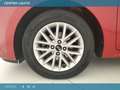 Kia Rio 1.2 mpi Evolution 84 CV Rosso - thumbnail 10