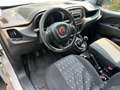 Fiat Doblo Doblo 1.4 tjt natural power 120cv IVA COMPRESA Blanc - thumbnail 5