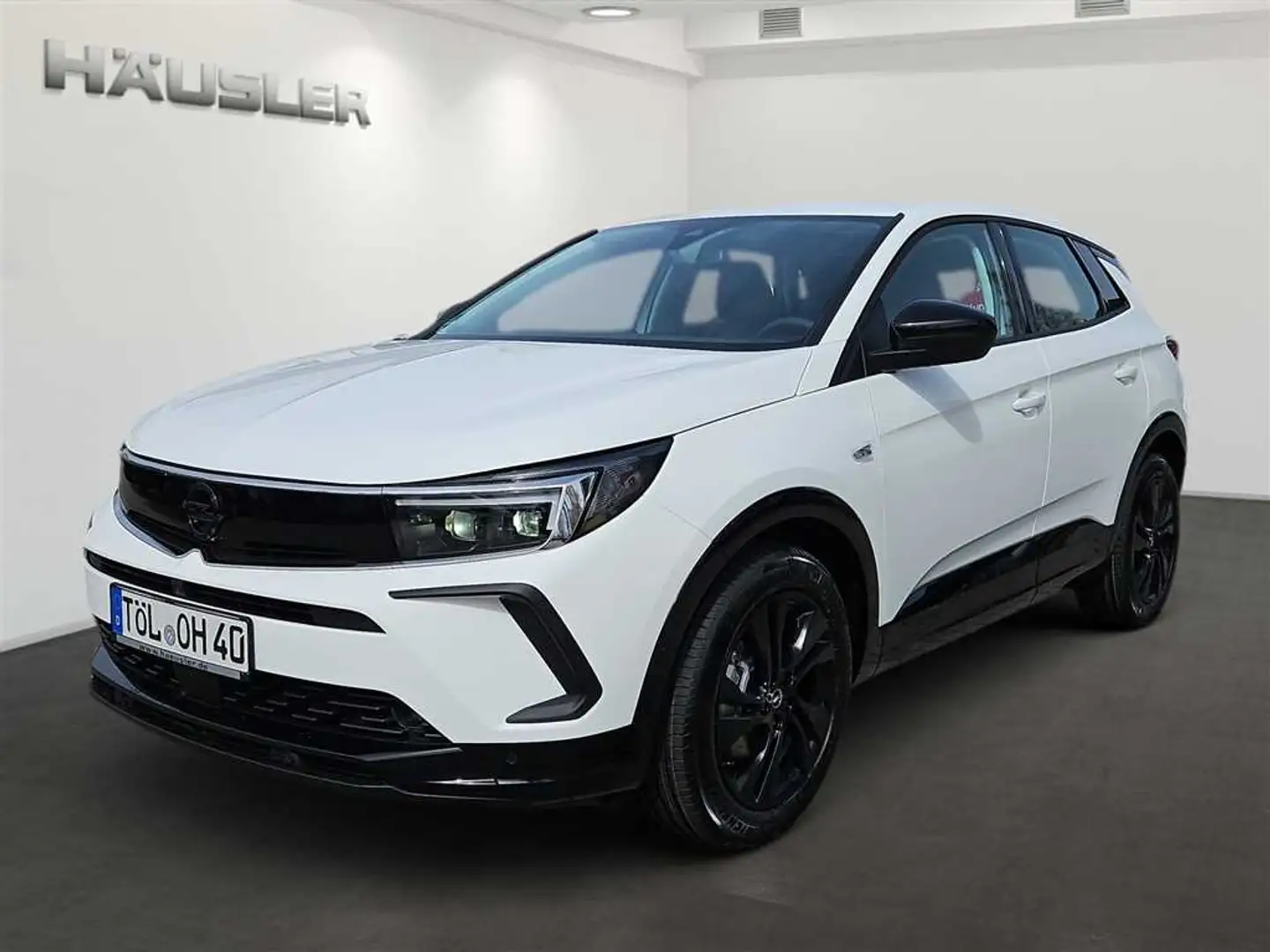 Opel Grandland X 1.2 Hybrid GS-Line LED PDC Kamera Navi SHZ+LHZ Weiß - 1