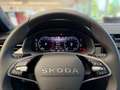 Skoda Kamiq Tour 1,0 TSI 85 kW 7-Gang-DSG KAM+KEYLESS+ Rot - thumbnail 17