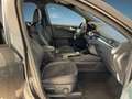 Ford Kuga 2.0 EcoBlue 190 CV aut. AWD ST-Line X Gris - thumbnail 7