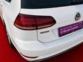 Volkswagen Golf VII 1.4 TSI Rabbit *Erstbesitz* Weiß - thumbnail 10