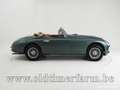 Oldtimer Aston Martin DB2 Drophead Coupé '52 Zielony - thumbnail 6