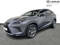 Lexus NX 300h Executive Line Grijs - thumbnail 1