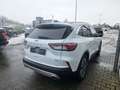 Ford Kuga 2.5 PHEV Titanium X | Panoramadak | Adaptive cruis Blanc - thumbnail 5