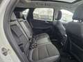 Ford Kuga 2.5 PHEV Titanium X | Panoramadak | Adaptive cruis Blanc - thumbnail 10