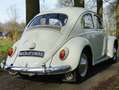 Volkswagen Kever Käfer 'Dickholmer' White - thumbnail 2