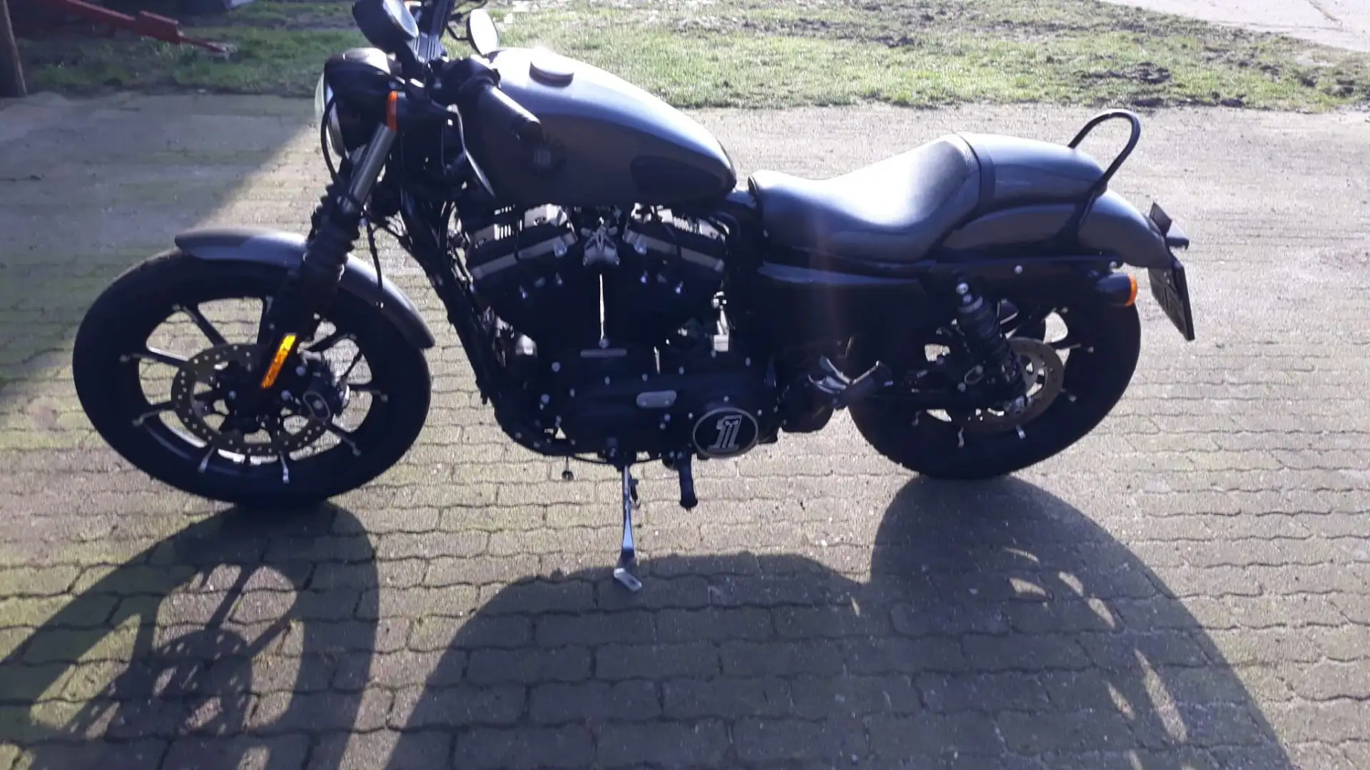 Harley-Davidson Iron 883 Grau - 1