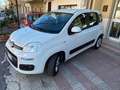Fiat Panda Panda 1.2 Lounge s Bianco - thumbnail 3