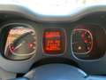 Fiat Panda Panda 1.2 Lounge s Bianco - thumbnail 12