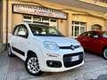 Fiat Panda Panda 1.2 Lounge s Bianco - thumbnail 1