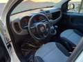Fiat Panda Panda 1.2 Lounge s Bianco - thumbnail 6