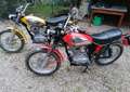 Ducati Scrambler Epoca arancione 1anno 1974 Portocaliu - thumbnail 5
